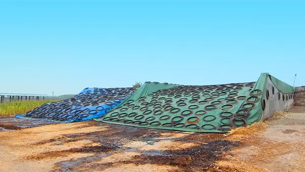 Bunker Silage