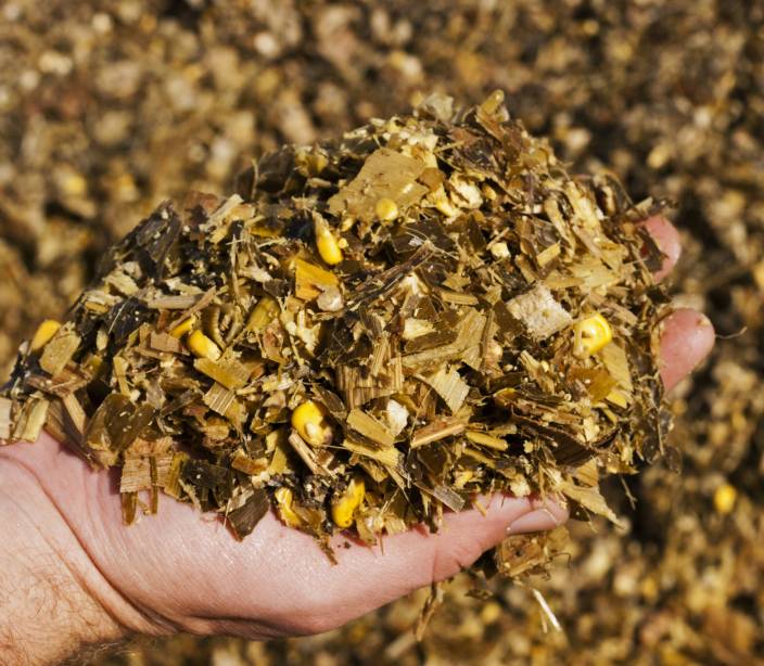 SlideShow_Silage 001