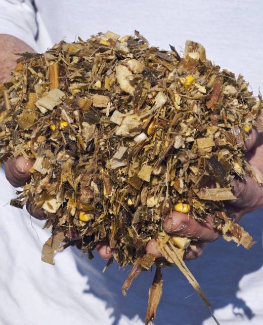 SlideShow_Silage 002